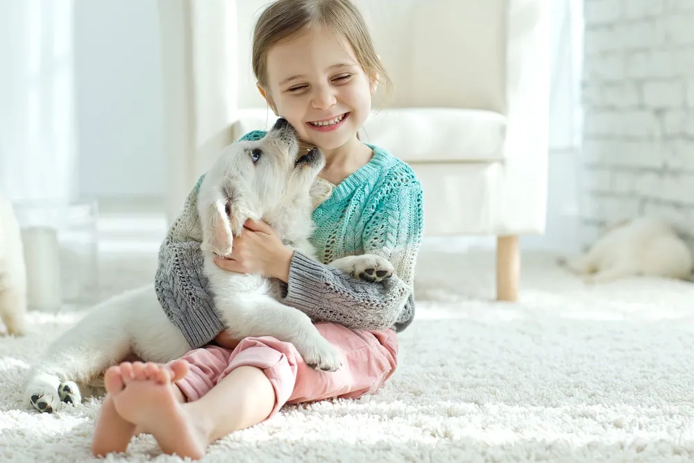 A smiling girl hugs a fluffy grey and white puppy on a shaggy rug