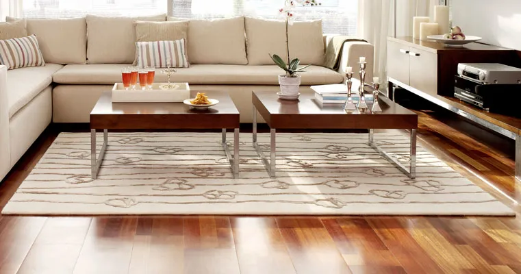 A pale rug in a bright living room