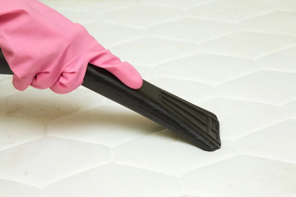 A gloved hand cleans the quilted top of a white mattress