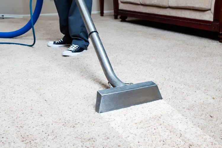 A cleaning wand moving across a cream carpet in a living room