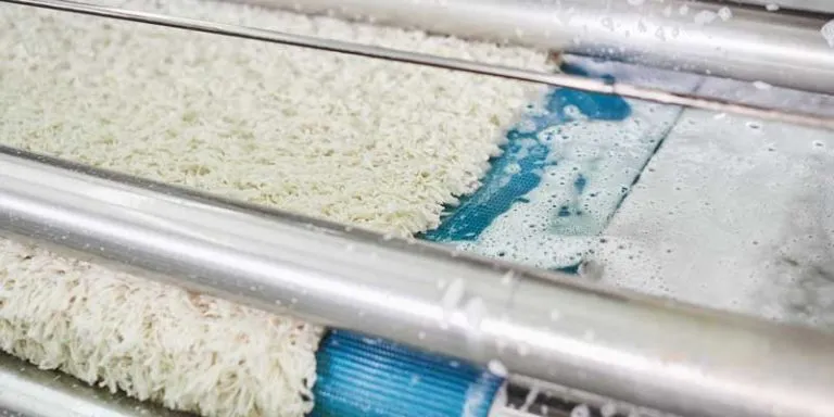 A cream cotton rug moving through washing rollers