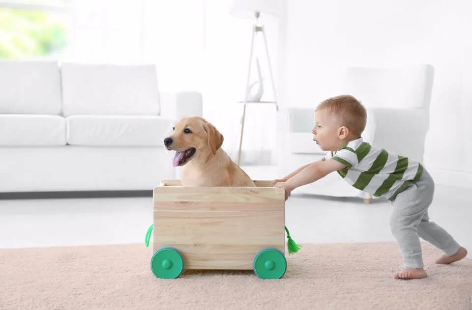 A toddler pushes a puppy in a wooden cart across a soft wool rug