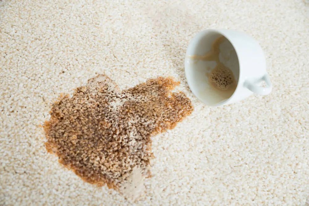A cup of coffee spilled on a light rug